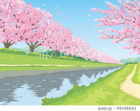 桜と川の見える風景のイラスト素材 [99396662] - PIXTA