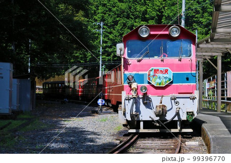 【大井川鐵道】井川線井川駅 DD20形ディーゼル機関車 99396770