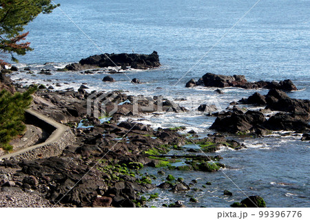 真鶴、番場浦のハイキングコース 99396776