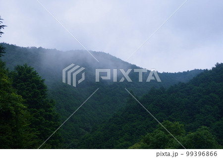朝霧 山の天気 霧 紀伊半島 山霧 自然現象 朝霧 山の天気 霧 紀伊半島 山霧 自然現象 99396866