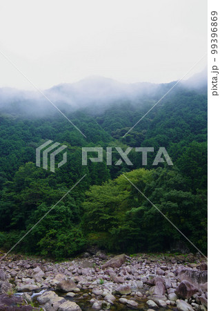 朝霧 山の天気 霧 紀伊半島 山霧 自然現象 朝霧 山の天気 霧 紀伊半島 山霧 自然現象 99396869