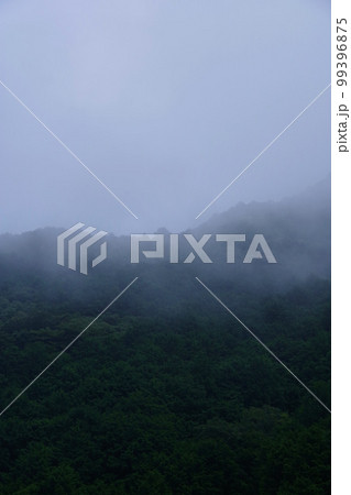 朝霧　山の天気　霧　紀伊半島　山霧　自然現象 99396875