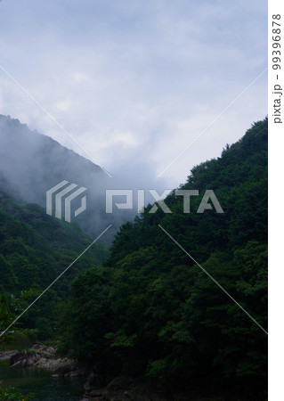朝霧 山の天気 霧 紀伊半島 山霧 自然現象 朝霧 山の天気 霧 紀伊半島 山霧 自然現象 99396878