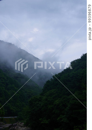 朝霧　山の天気　霧　紀伊半島　山霧　自然現象 99396879