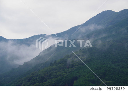 朝霧　山の天気　霧　紀伊半島　山霧　自然現象 99396889