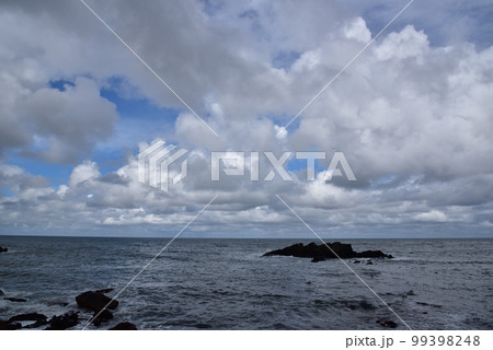 カムイワッカの海鳥 99398248