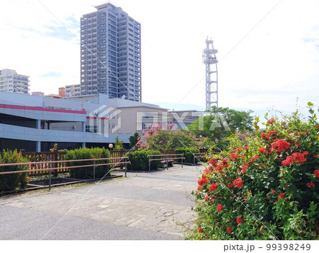 沖縄　新都心公園15 99398249