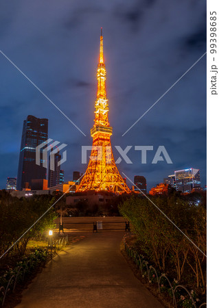 ライトアップされた東京のタワーと高層ビル群の夜景|東京の夜景イメージ|東京都港区 ライトアップされた東京のタワーと高層ビル群の夜景|東京の夜景イメージ|東京都港区 99398685