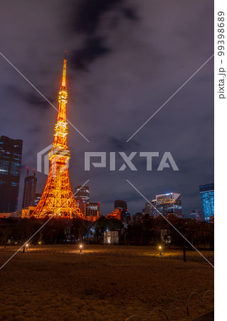 ライトアップされた東京のタワーと高層ビル群の夜景|東京の夜景イメージ|東京都港区 ライトアップされた東京のタワーと高層ビル群の夜景|東京の夜景イメージ|東京都港区 99398689