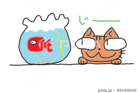 目が大きい猫の金魚 99399000