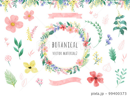 ボタニカルなベクターイラスト素材セット ボタニカルなベクターイラスト素材セット 99400373