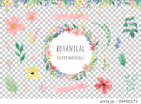 ボタニカルなベクターイラスト素材セット ボタニカルなベクターイラスト素材セット 99400373
