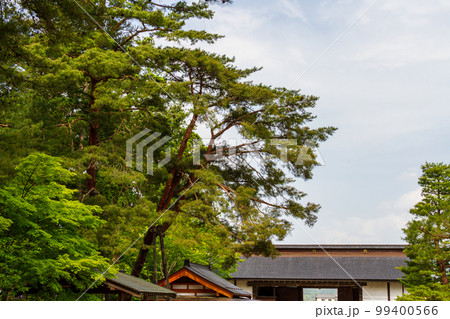 岩手県西磐井郡平泉町平泉 毛越寺と境内の風景 岩手県西磐井郡平泉町平泉 毛越寺と境内の風景 99400566