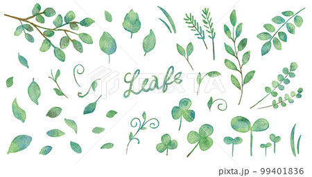 緑の葉っぱの水彩画イラストパーツ セット 99401836