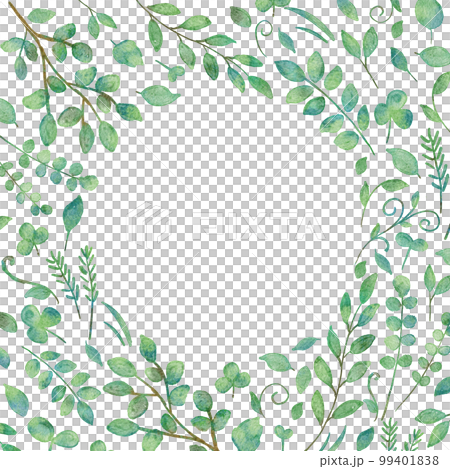Watercolor illustration frame of green leaves Watercolor illustration frame of green leaves 99401838