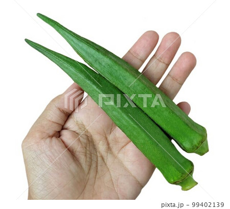 Hand Holding Fresh Okra Before Cooking 99402139