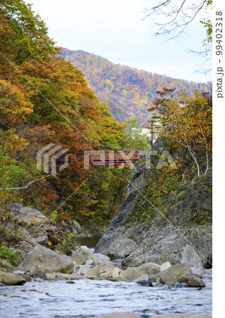 北海道 定山渓の「二見吊橋」と紅葉 北海道 定山渓の「二見吊橋」と紅葉 99402318