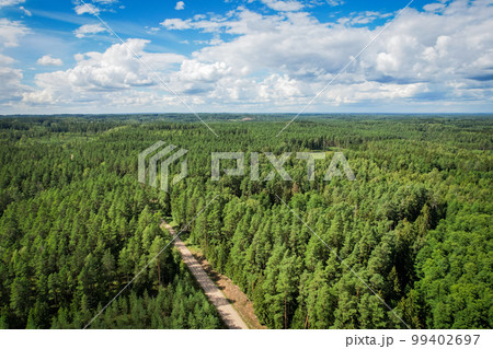 Drone view of road and forest in golden time Drone view of road and forest in golden time 99402697