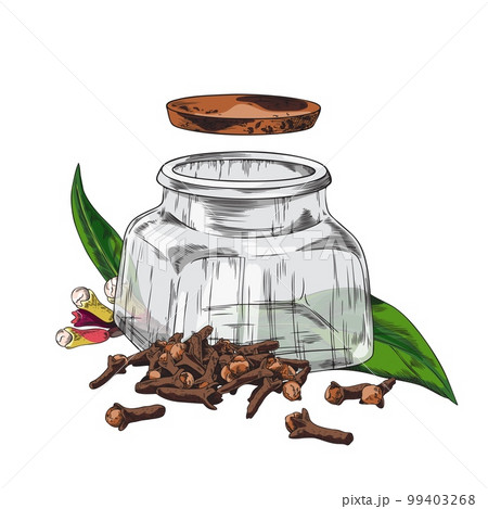 Hand drawn opened glass jar and clove spice sketch style 99403268