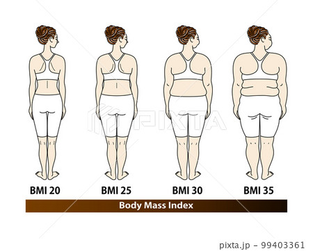 若い美人女性の後ろ姿 BMI(ボディマスインデックス) 指数別の体型の一覧 イラスト ベクター 99403361