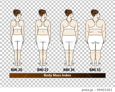 一個年輕漂亮女人的後視圖 BMI（身體質量指數）按指數劃分的身體類型列表 插圖向量 99403361
