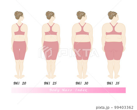 若い美人女性の後ろ姿 BMI(ボディマスインデックス) 指数別の体型の一覧 イラスト ベクター 99403362