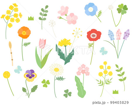 菜の花や桜・ミモザなどの春の花のイラストセット 菜の花や桜・ミモザなどの春の花のイラストセット 99403829