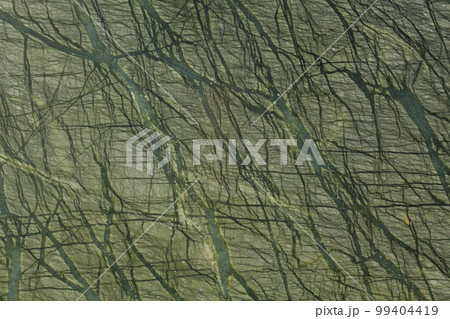 Green marble texture background, natural breccia marbel tiles for ceramic wall and floor, Emperador premium italian glossy granite slab stone ceramic tile, polished quartz, Quartzite matt limestone. Green marble texture background, natural breccia marbel tiles for ceramic wall and floor, Emperador premium italian glossy granite slab stone ceramic tile, polished quartz, Quartzite matt limestone. 99404419