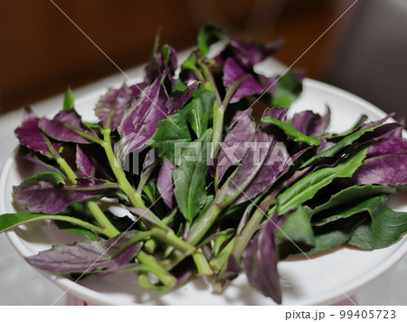 加賀野菜　金時草 99405723