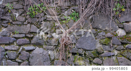 texture of stone wall. grunge background with moss texture of stone wall. grunge background with moss 99405803