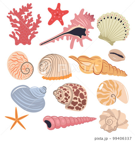 Set of sea shells isolated on a white background. Vector graphics. 99406337