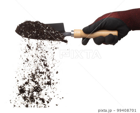Soil dirt white rice mix in garden shovel hand glove, Rice soil fertilizer abstract cloud fly. Soil mix jasmine rice planting splash stop in air. white background isolated high speed freeze motion Soil dirt white rice mix in garden shovel hand glove, Rice soil fertilizer abstract cloud fly. Soil mix jasmine rice planting splash stop in air. white background isolated high speed freeze motion 99408701