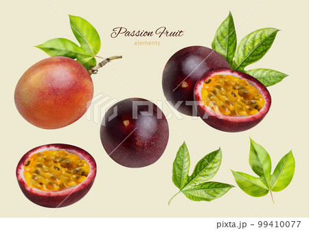 Realistic passion fruit element set Realistic passion fruit element set 99410077