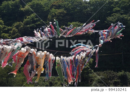 子供の日の風物詩 相模高田橋 約1200匹の鯉のぼり 準備が始まり川を泳ぎ天に舞い上がる28 99410241