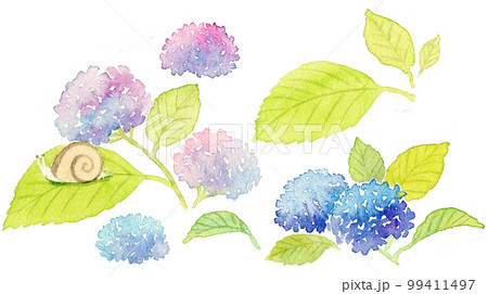 ♡シーグラスアート ぶたさんもお気に入りのうさぎ傘 紫陽花