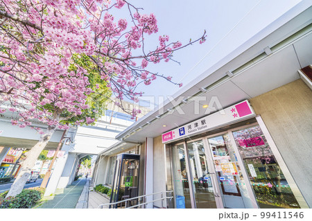 河津駅の駅舎と河津桜【静岡県・賀茂郡・河津町】 99411546