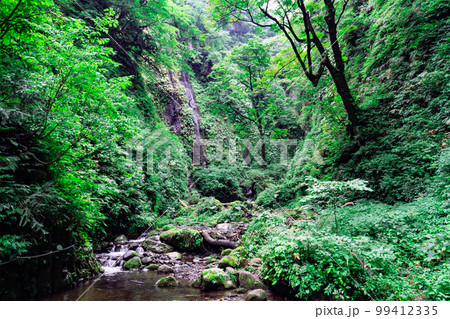 神秘的なシワガラの滝がある洞窟へと続く渓谷 兵庫県美方郡新温泉町 神秘的なシワガラの滝がある洞窟へと続く渓谷 兵庫県美方郡新温泉町 99412335