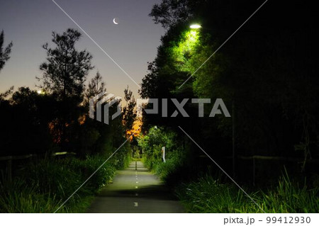 ナイトウォ―ク 99412930