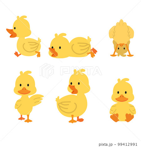 Cute yellow ducks collcetion set 99412991