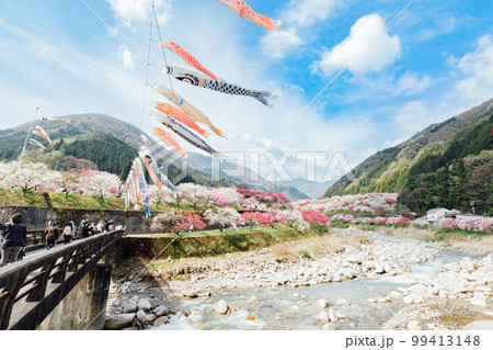 長野阿智村 月川温泉 花桃の郷の絶景 長野阿智村 月川温泉 花桃の郷の絶景 99413148