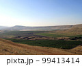 Mountain landscape. Vineyard on a sunny day. Blue sky, green bushes and trees, hills. South view of a grape plantation. Agriculture, gardening, subsistence farming. Summer morning landscape photo 99413414