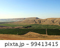 Mountain landscape. Vineyard on a sunny day. Blue sky, green bushes and trees, hills. South view of a grape plantation. Agriculture, gardening, subsistence farming. Summer morning landscape photo 99413415