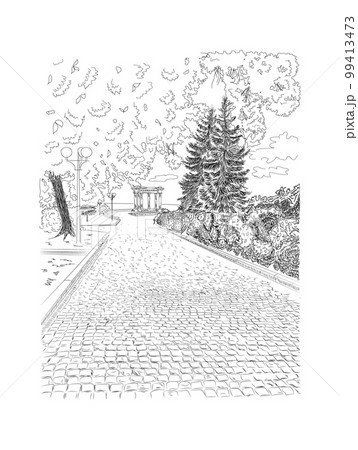 Alley in the park on the outskirts of the city 99413473