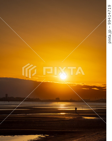 春の船橋三番瀬の干潟の夕景 99414719