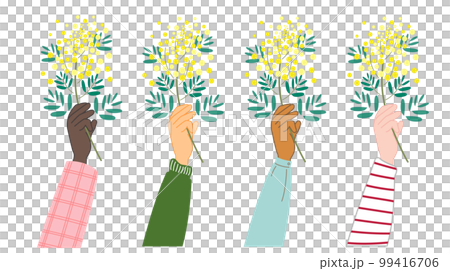 ミモザを持つ女性の手 99416706