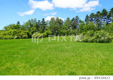 道央自動車道野幌パーキングエリアの草地 99416822
