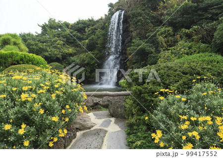 済州民俗村 西帰浦市 済州島 99417552