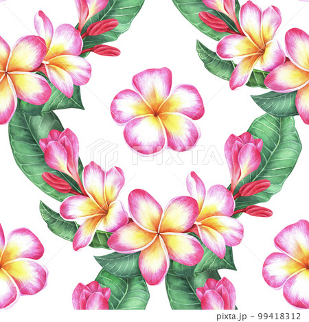 Pink-yellow plumeria seamless pattern. Frangipani flower with leaves.Watercolor illustration.Isolated on a white background.For the design of wrapping paper, fabric, women's clothing, notepad, napkin 99418312