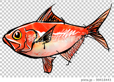Hand-drawn illustration of Kinmedai (brush writing watercolor sumi-e style) 99418443