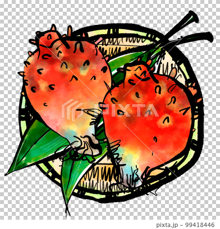 ホヤの手書きイラスト（筆書き水彩墨絵風） 99418446
